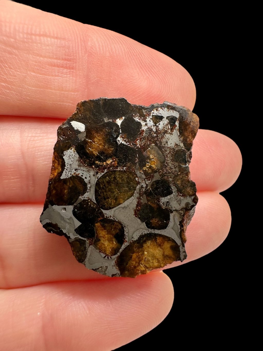 Photoroom 005 20251028 182353