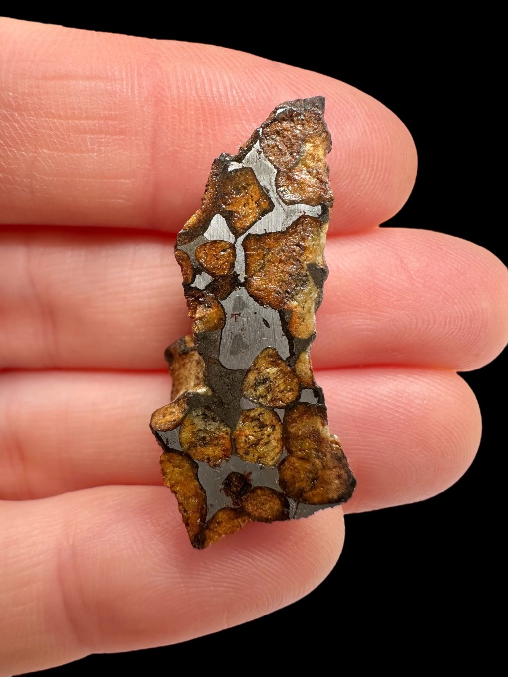 Photoroom 009 20251028 182353