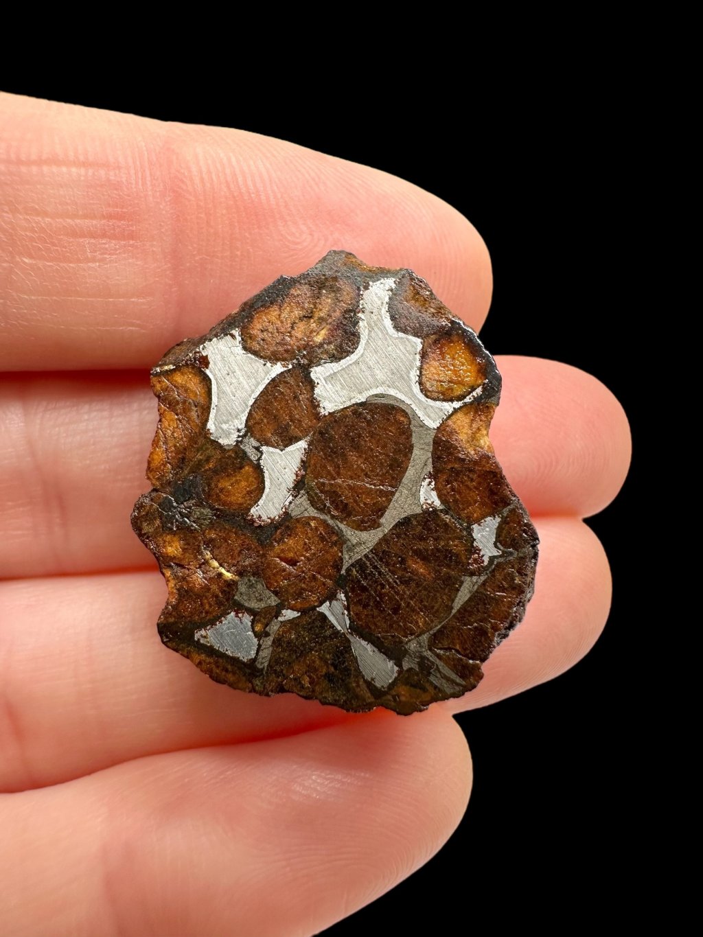 Photoroom 013 20251028 182353