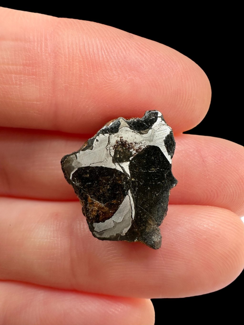 Photoroom 015 20251028 182353