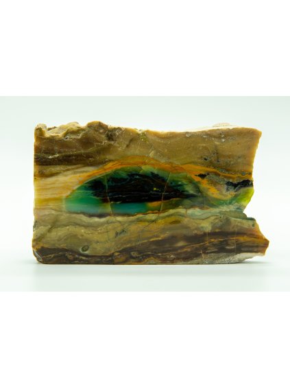 Versteinertes opalisiertes Holz – Westjava, Indonesien