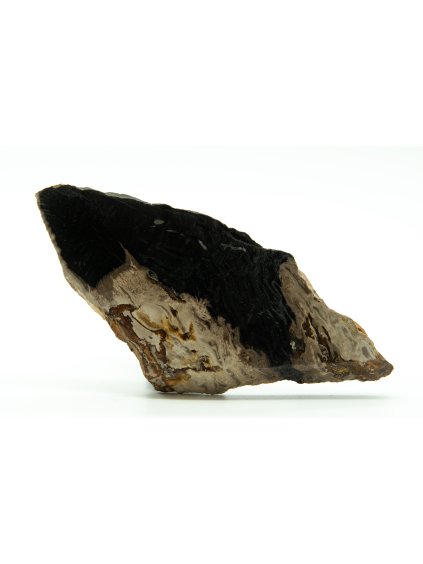 Petrified palm roots – West Java, Indonesia