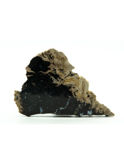 Petrified palm roots – West Java, Indonesia