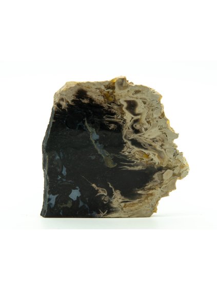 Versteinerte Palmwurzeln – Westjava, Indonesien