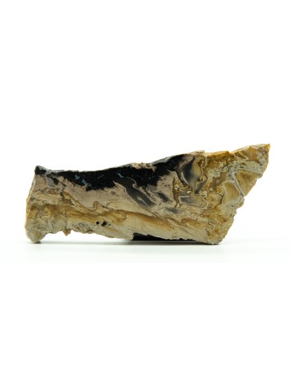 Versteinerte Palmwurzeln – Westjava, Indonesien