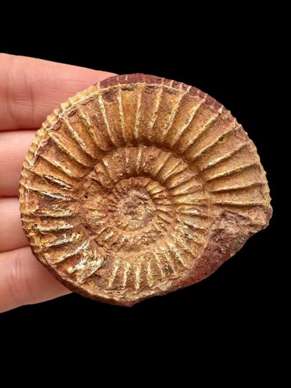 Photoroom 000 20250901 200427