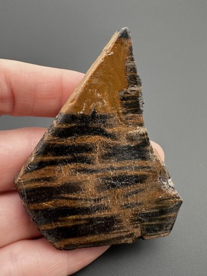 Tiger jasper – West Java, Indonesia