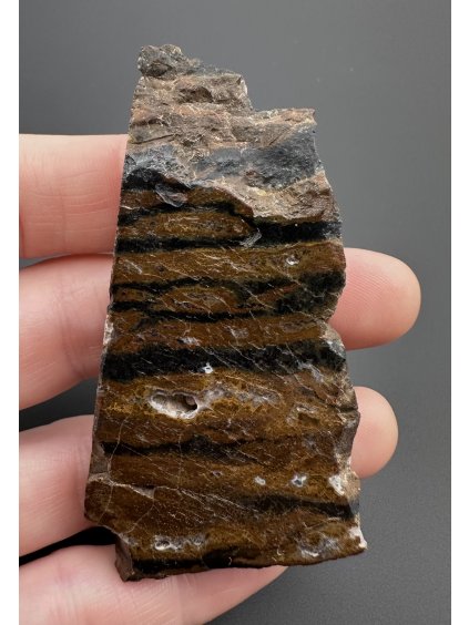 Tiger jasper – West Java, Indonesia