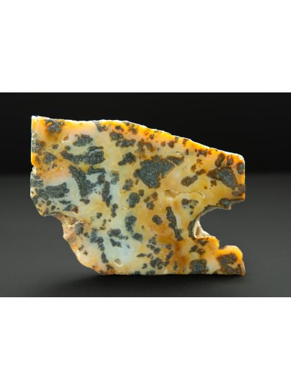 Marcasite agate – West Java, Indonesia