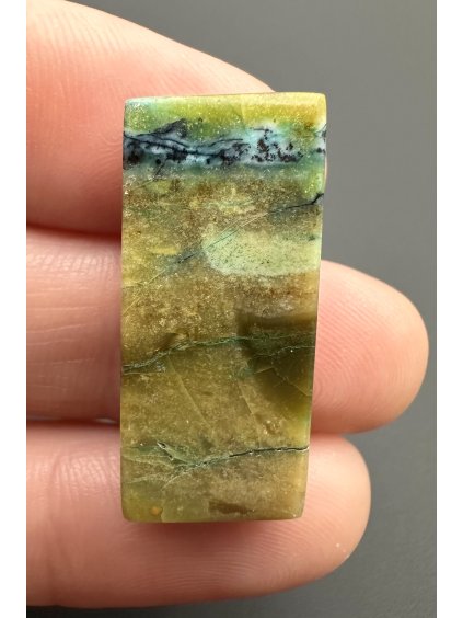 Petrified opalized wood with natural copper  – West Java, Indonesia