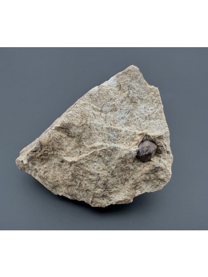 Granat (Almandin) – Malenice, CZ