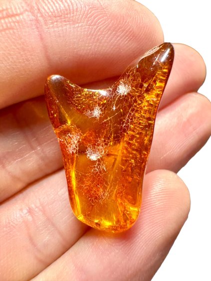 Bernstein – Danzig, Polen