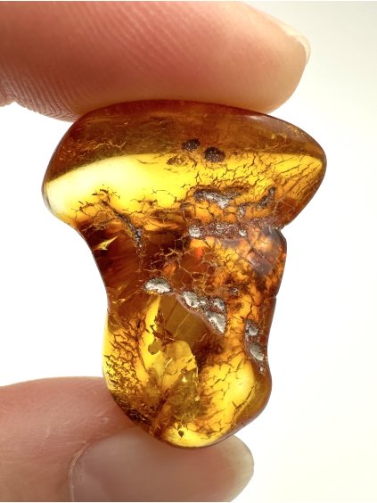 Jantar – Gdaňsk, Polsko