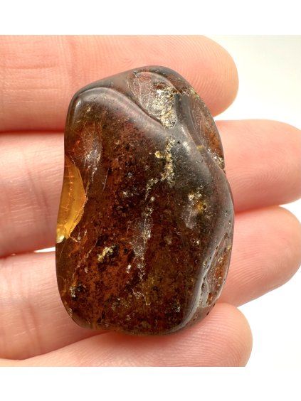 Bernstein 4g – Danzig, Polen