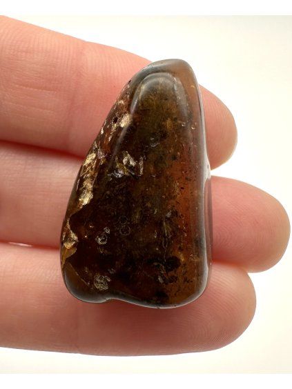 Bernstein 3,9g – Danzig, Polen