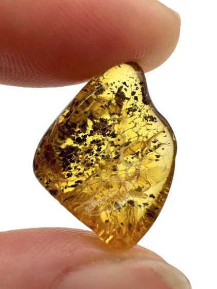 Jantar 1,4g – Gdaňsk, Polsko