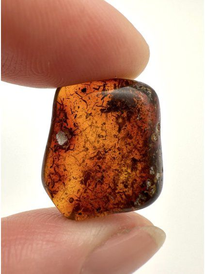 Amber 1,3g – Gdańsk, Poland