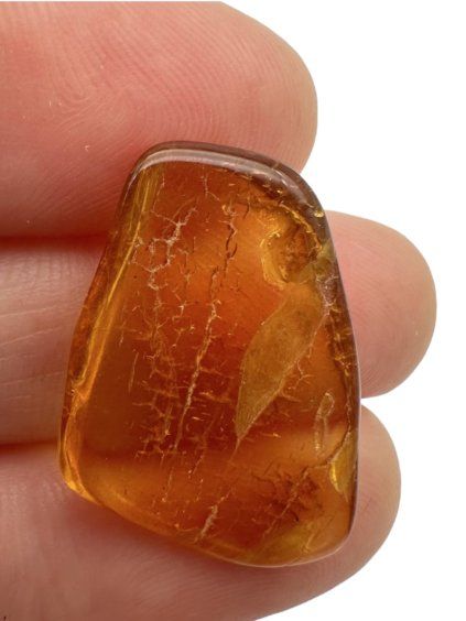 Amber 1g – Gdańsk, Poland