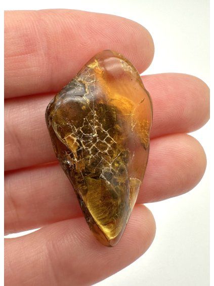 Amber 2,6g – Gdańsk, Poland