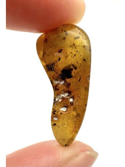 Amber 2g – Gdańsk, Poland