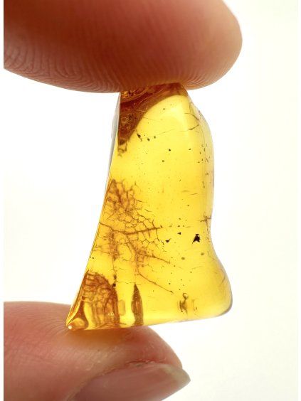 Amber 2,1g – Gdańsk, Poland