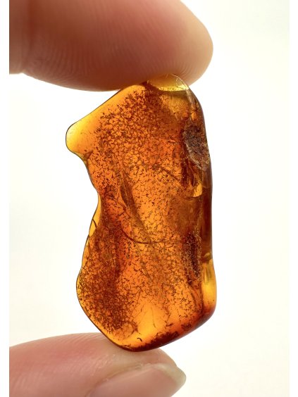 Jantar – Gdaňsk, Polsko