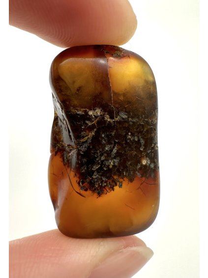 Jantar – Gdaňsk, Polsko