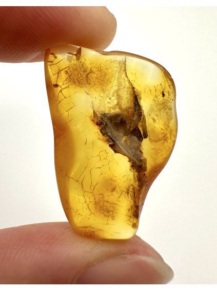 Bernstein 1,8g – Danzig, Polen