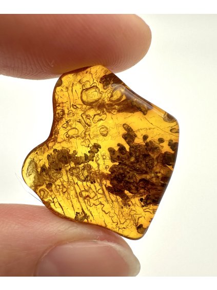 Bernstein – Danzig, Polen