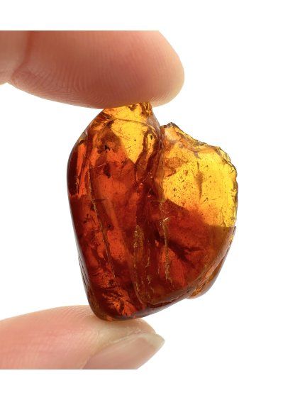 Bernstein 3,5g – Danzig, Polen