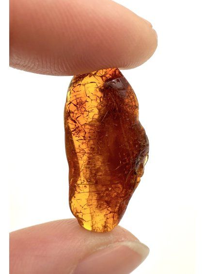 Amber 1,2g – Gdańsk, Poland