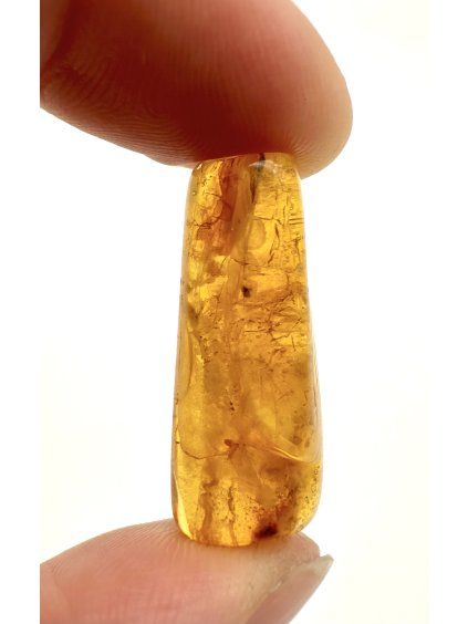 Amber 1,4g – Gdańsk, Poland