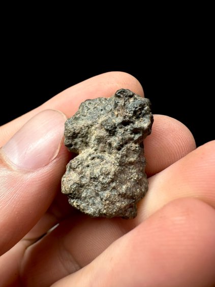 Meteorit Bechar 008, Howardit – Algerien