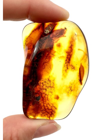 Amber – Lithuania