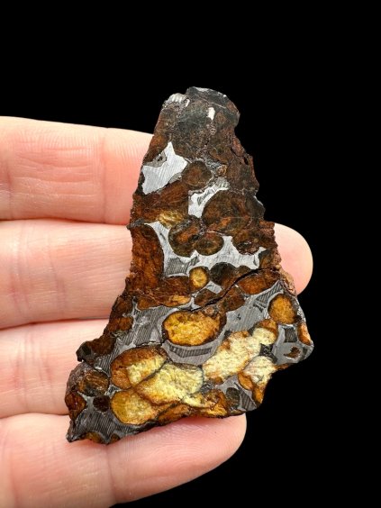 Meteorit Pallasit Sericho 17,2g / koncový řez – Keňa
