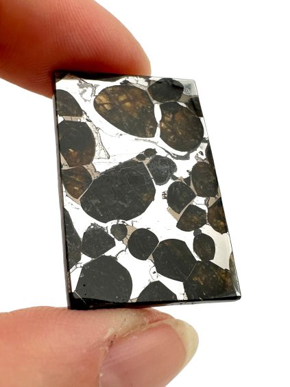 Meteorit Pallasit Brahin – Belarus