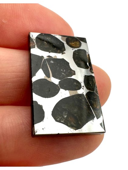 Brahin Pallasite Meteorite – Belarus