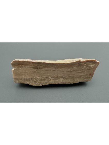Versteinertes Holz – Ocihov, CZ