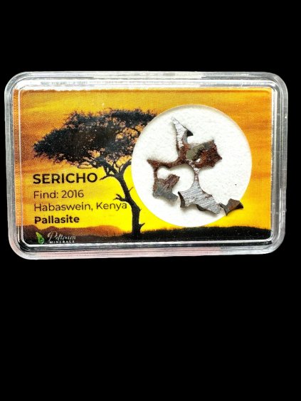 Sericho Pallasite Meteorite – Kenya