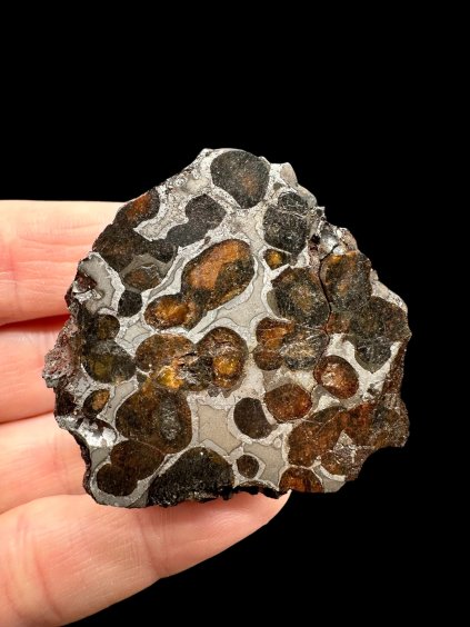 Meteorit Pallasit Sericho 67g – Keňa