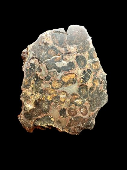 Sericho Pallasite Meteorite – Kenya