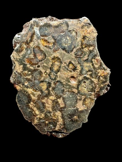 Meteorit Pallasit Sericho – Keňa
