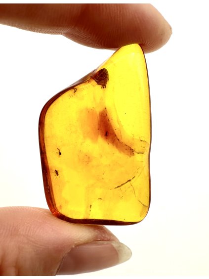 Insects in amber – Lithuania – 4g
