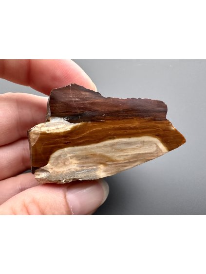 Limnokvarcit – Banské, SK