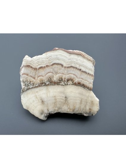 Aragonite variety Vridlovec – Karlovy Vary, CZ
