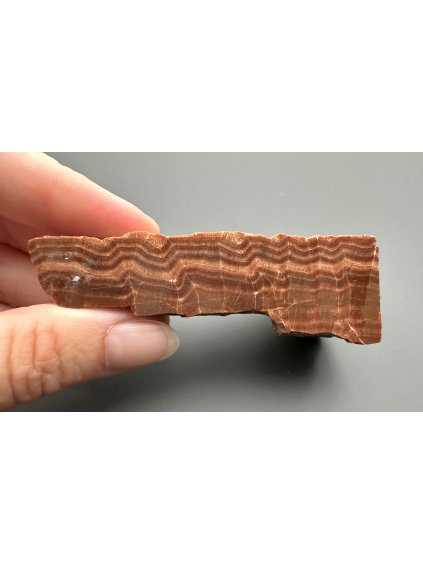 Aragonite variety Vridlovec – Karlovy Vary, CZ