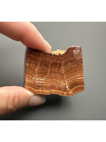 Aragonite variety Vridlovec – Karlovy Vary, CZ
