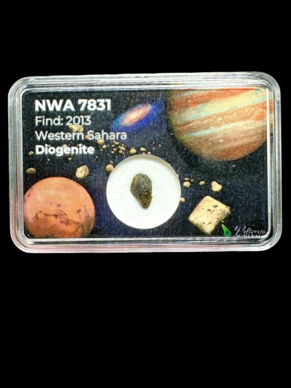 Meteorit NWA 7831 – 0,19g – Westsahara