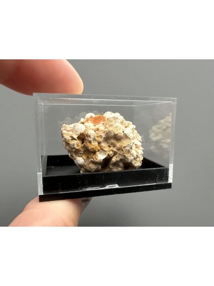Aragonite variety Hrachovec – Karlovy Vary, CZ