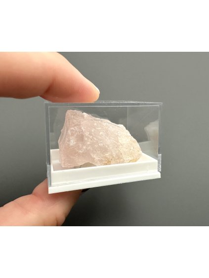 Růženín – Madagaskar